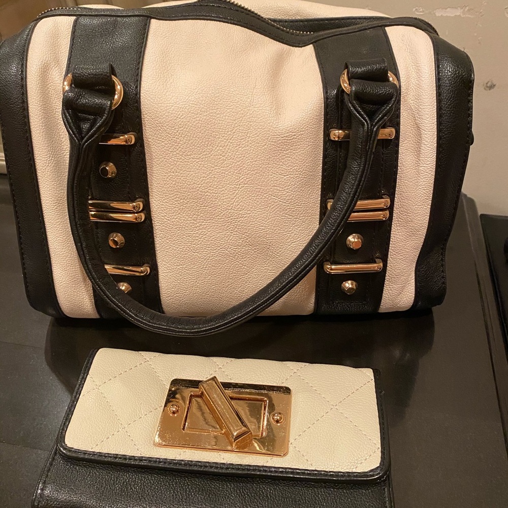 Aldo bag with matching Walet